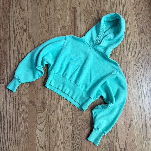 Aritzia Tops - TNA Cropped Hoodie Sweatshirt